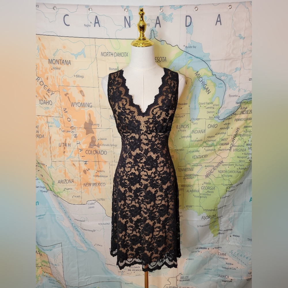 Karen Kane Black Lace Sleeveless V-neck Dress Size M - Picture 2 of 16